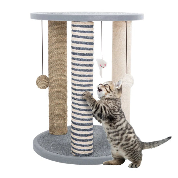 Cat Scratching Post - Scratcher Posts with Carpeted Scratch Pad Base and Perch - Furniture Scratching Deterrent for Indoor Cats