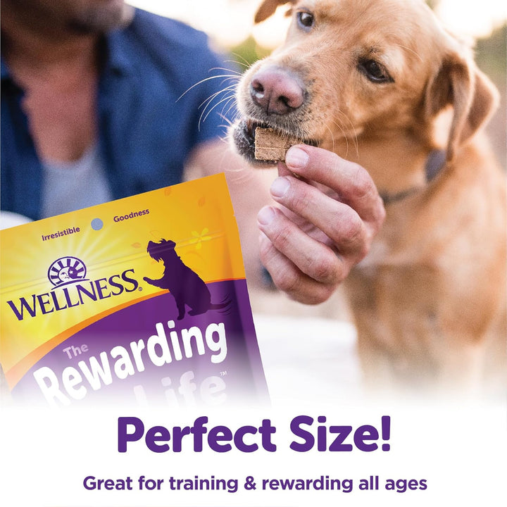 Rewarding Life Dog Treats, Natural, Training Treat, Grain Free, Soft Turkey & Duck (6 Ounce Bag)