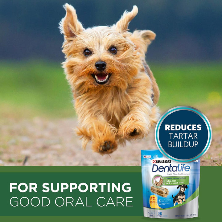 Dentalife Purina Bundle Pack Small Breed Dog Food and Treats, ONE +Plus Lamb and Rice Formula Daily Oral Care