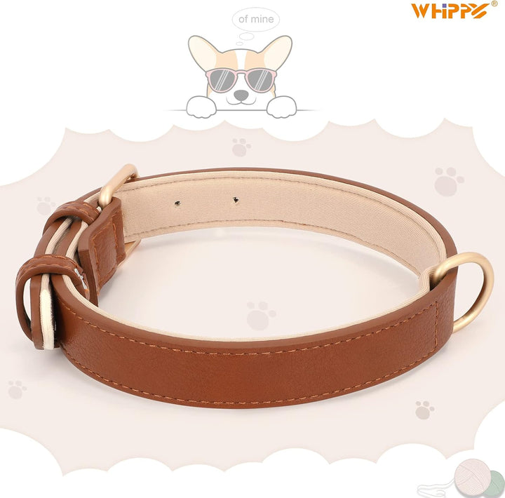 Leather Dog Collar for Small Medium Large Dog