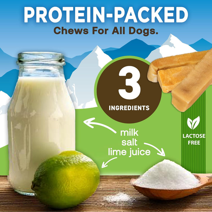 Ecokind Premium Gold Yak Cheese Himalayan Dog Chews, Healthy Dog Treats, Yak Chews for Small Dogs, All Natural, Long Lasting Dog Chew for Aggressive Chewers, High Protein Puppy Treat, Small - 8 Chews