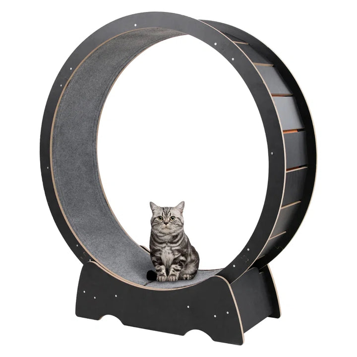 Denora 45'' Large Cat Running Wheel Treadmill