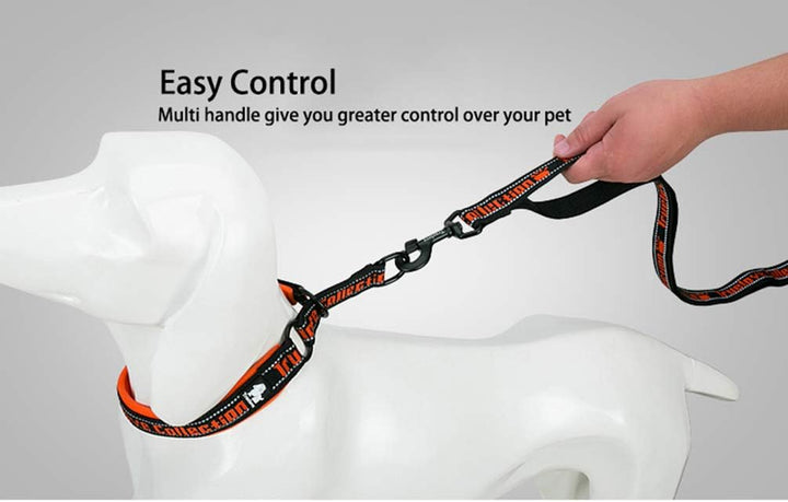 Multi Handle Dog Leash, Training Lead. Wine, Medium