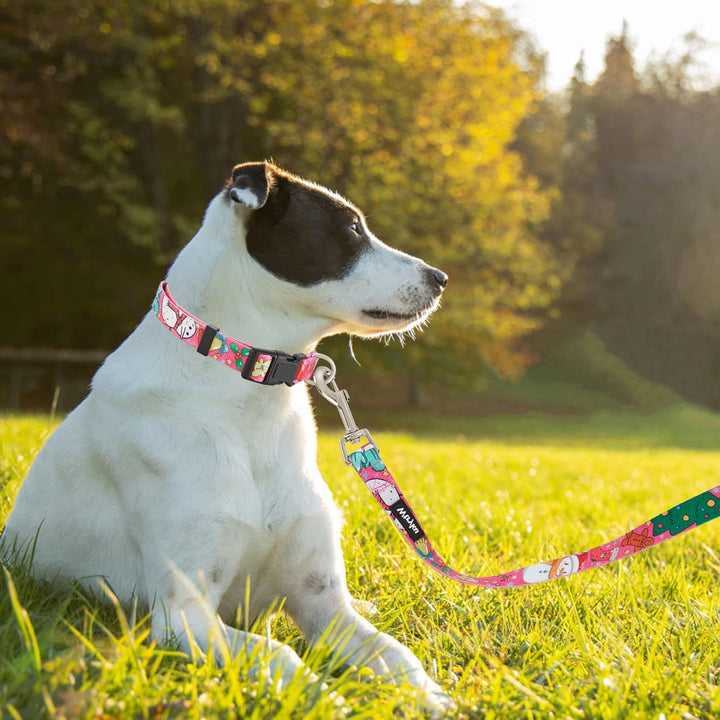 5FT Christmas Dog Leash, Sturdy Santa Pattern Girl Pet Leash for Holidays, Puppy Leash for Small, Medium and Large Dogs(Christmas Rose Red, 5FT X 3/4" Wide)