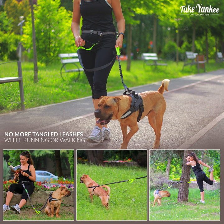 Hands Free Dog Leash for Running +Training Leash Walking & Double Dog Leash Coupler Set, Fits 2 Dogs - Bungee Leash & Reflective Leash - Adjustable Waist Belt & Retractable Leashes
