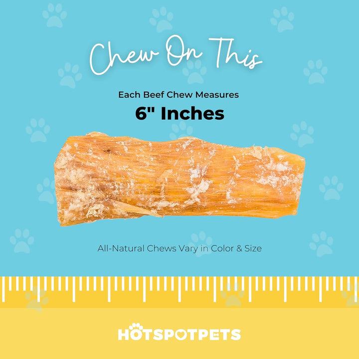 Beef Tendon Chews for Dogs - 6 Inch All Natural, Free-Range, Grass-Fed Premium Backstrap Tendon Dog Chews Treats