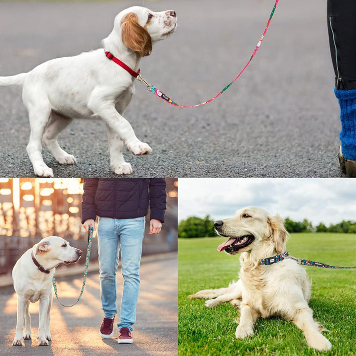 5FT Christmas Dog Leash, Sturdy Santa Pattern Girl Pet Leash for Holidays, Puppy Leash for Small, Medium and Large Dogs(Christmas Rose Red, 5FT X 3/4" Wide)