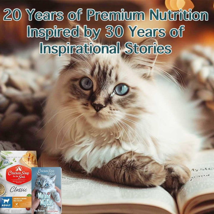 All Natural Premium Adult Dry Cat Food, Real Meat First Ingredient, No By-Products, Supports Heart, Gut & Immune Health, Chicken & Brown Rice, 4.5Lb