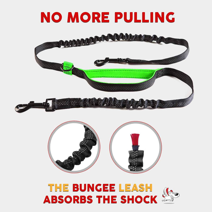 Exquisite Hands-Free Leash for Two Medium Dogs – Perfect for Active Pet Owners – Comfortable, Durable & Ideal for Running, Walking, Hiking – Premium Dual Waist Lead with Bungee – Must-Have Dog Gear