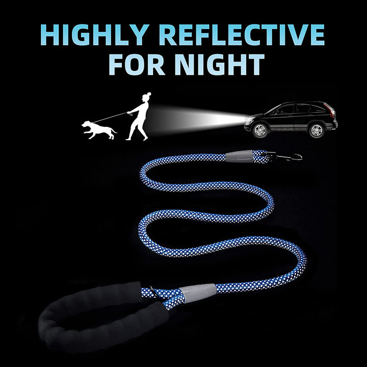 5FT Dog Leashes,High Reflective Heavy Duty Dog Leash，Nylon Dog Training Leash，Padded Handle Pet Leash，Walking Dog Rope Leash for Medium and Large Dogs