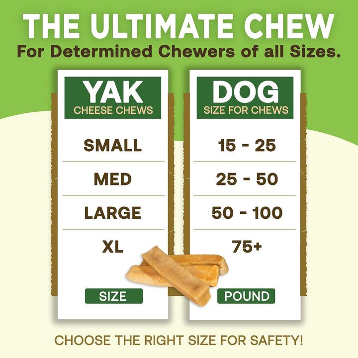 Ecokind Premium Gold Yak Cheese Himalayan Dog Chews, Healthy Dog Treats, Yak Chews for Small Dogs, All Natural, Long Lasting Dog Chew for Aggressive Chewers, High Protein Puppy Treat, Small - 8 Chews