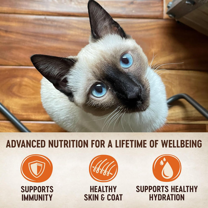 CORE Tiny Tasters Pate Adult Wet Cat Food, Natural, Protein-Rich, Grain Free, 1.75 Ounce Pouch, 12 Pack (Chicken)