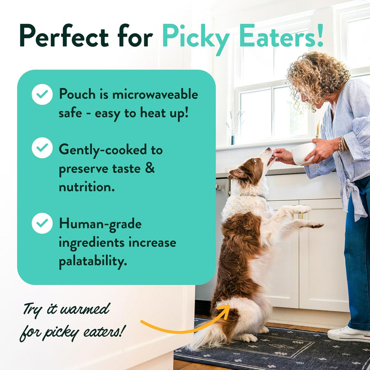 Mixed Wet Dog Food Pouches Variety Pack - Human-Grade, Gluten-Free Dog Food Toppers and Meals for Small and Large Breeds - Fresh Dog Food Made in the USA - 5-Multipack