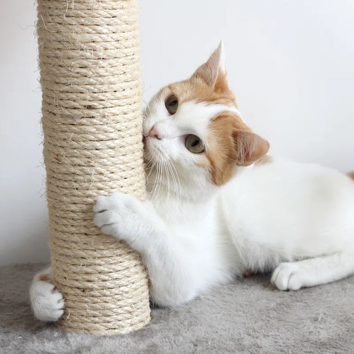 Cat Scratching Post - Scratcher Posts with Carpeted Scratch Pad Base and Perch - Furniture Scratching Deterrent for Indoor Cats