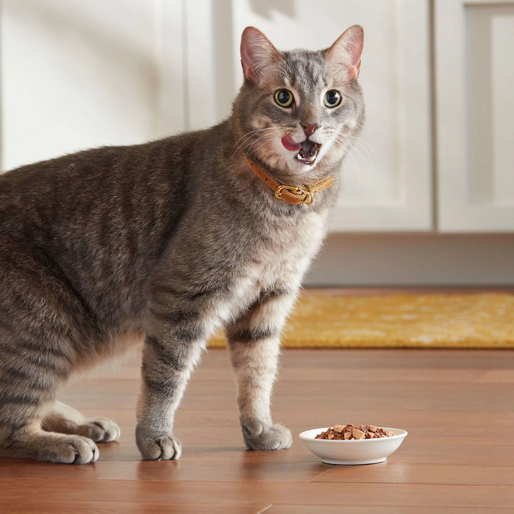 Tenders in Sauce Wet Cat Food with Real Chicken & Liver, 2.75 Oz. Cups, 12 Pack (Packaging and Formulation Updates Underway)