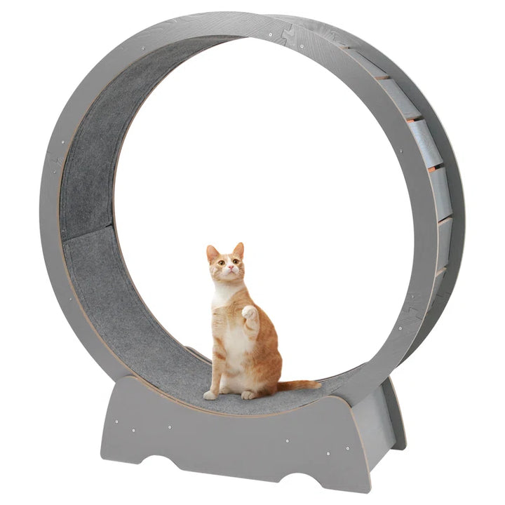 Denora 45'' Large Cat Running Wheel Treadmill