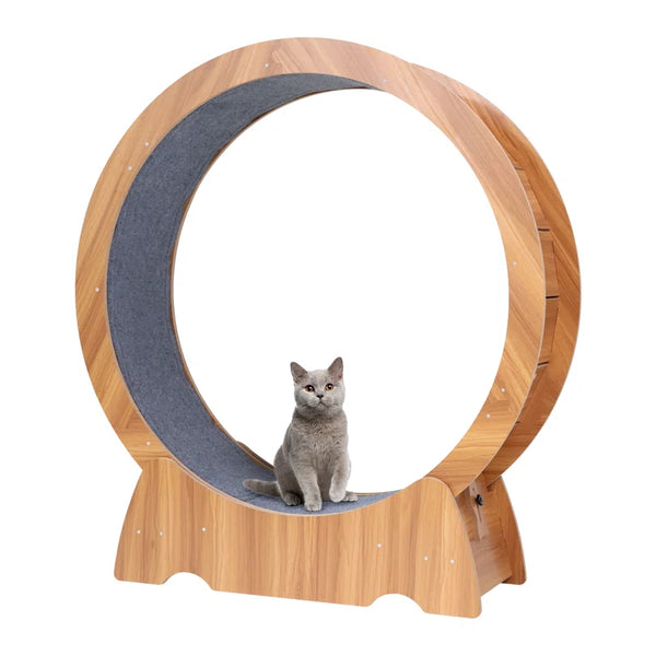 Denora 45'' Large Cat Running Wheel Treadmill