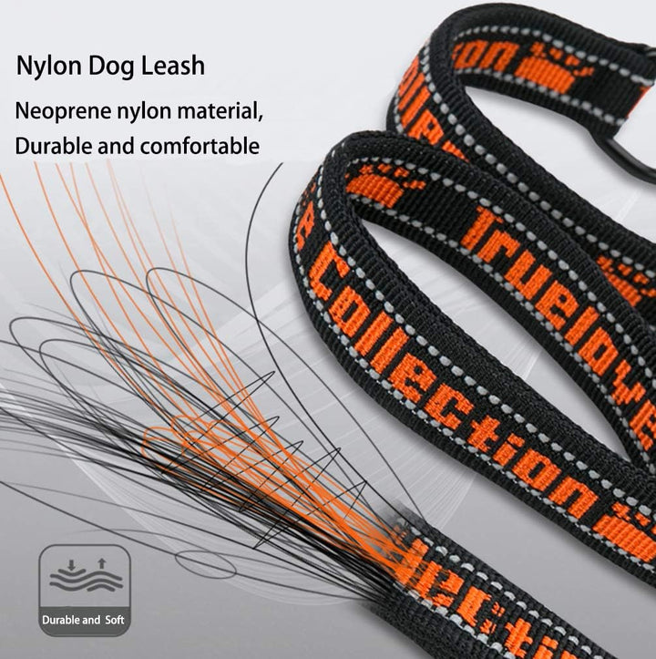 Multi Handle Dog Leash, Training Lead. Wine, Medium