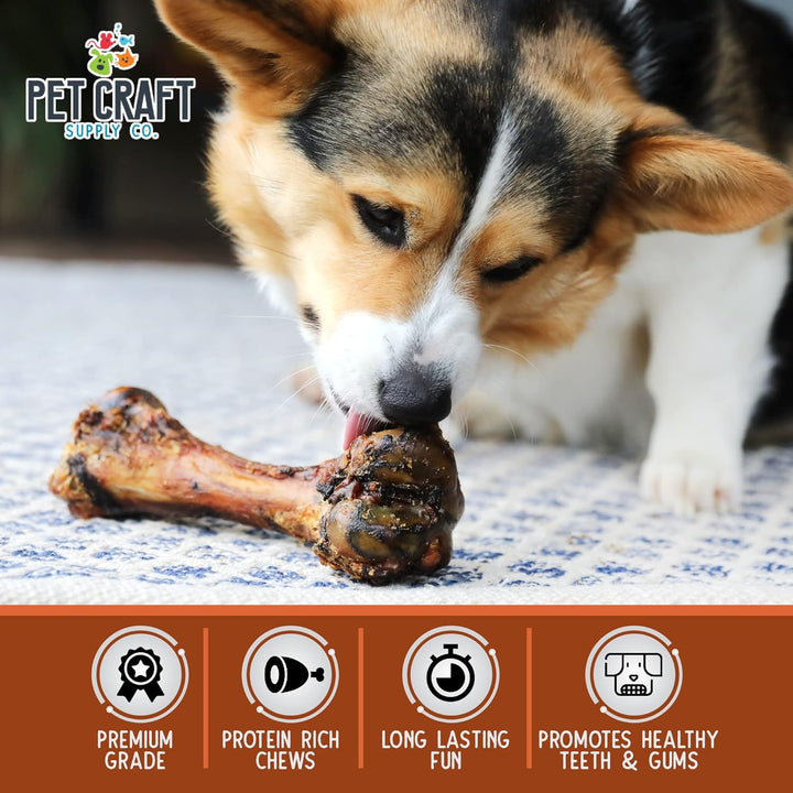 ALL Natural Healthy Pork Femur Bones Dog Chews Treats for Medium Tough Chewers Long Lasting Rawhide Free Made in USA Premium Grade Slow Roasted High Protein
