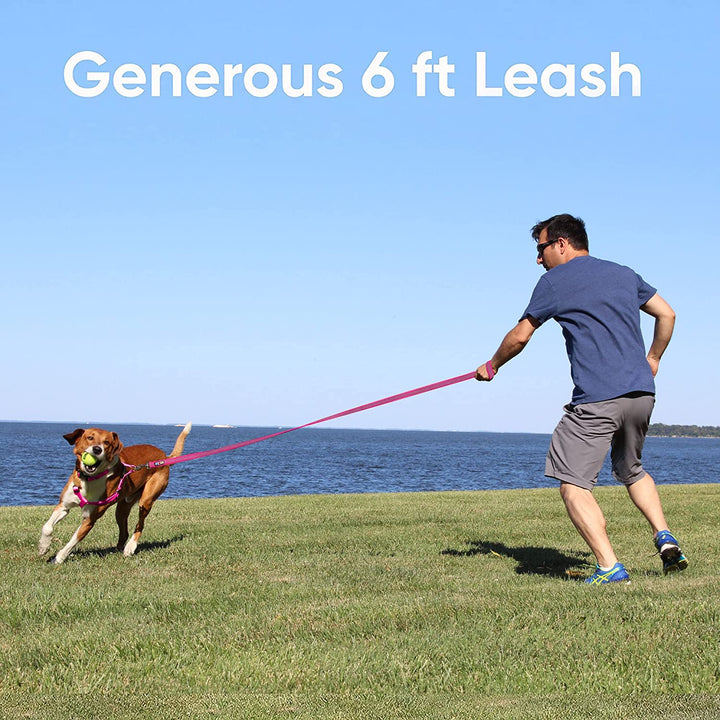 Pet Leash Puppy Leash Reflective Dog Leash | Comfortable Handle a Heavy Duty with Highly Visibility Threads | Reflective Dog Training Leash - 6 Foot Orange Dog Leash