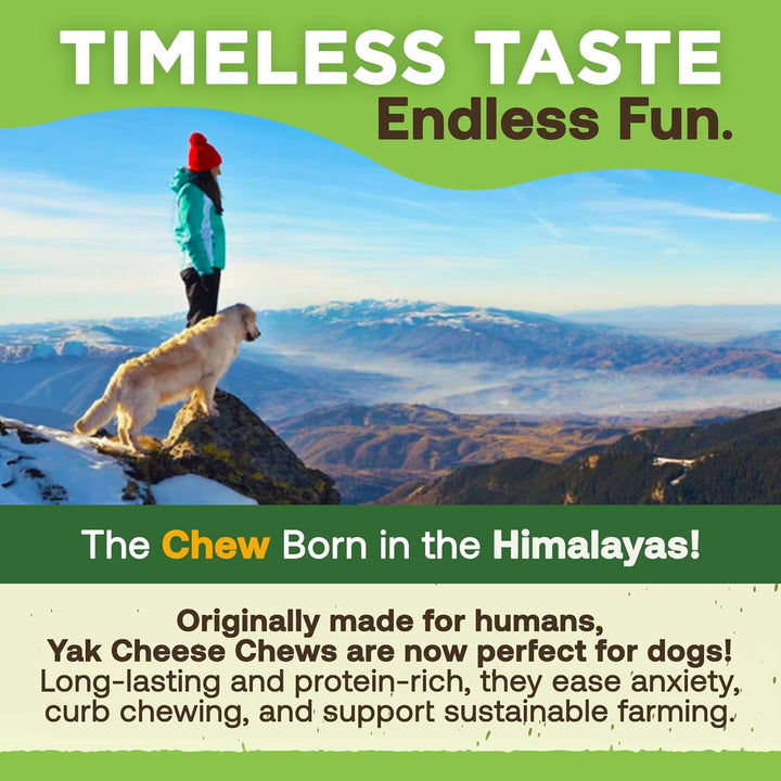 Ecokind Premium Gold Yak Cheese Himalayan Dog Chews, Healthy Dog Treats, Yak Chews for Small Dogs, All Natural, Long Lasting Dog Chew for Aggressive Chewers, High Protein Puppy Treat, Small - 8 Chews