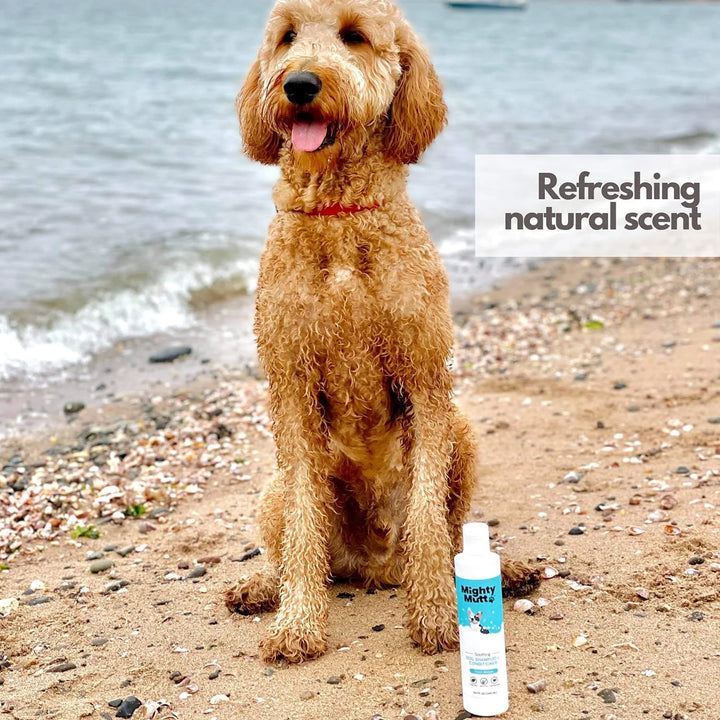 Natural Hypoallergenic Dog Shampoo & Conditioner - Soothing Anti-Itch Formula for Smelly Dogs - 9 Oz