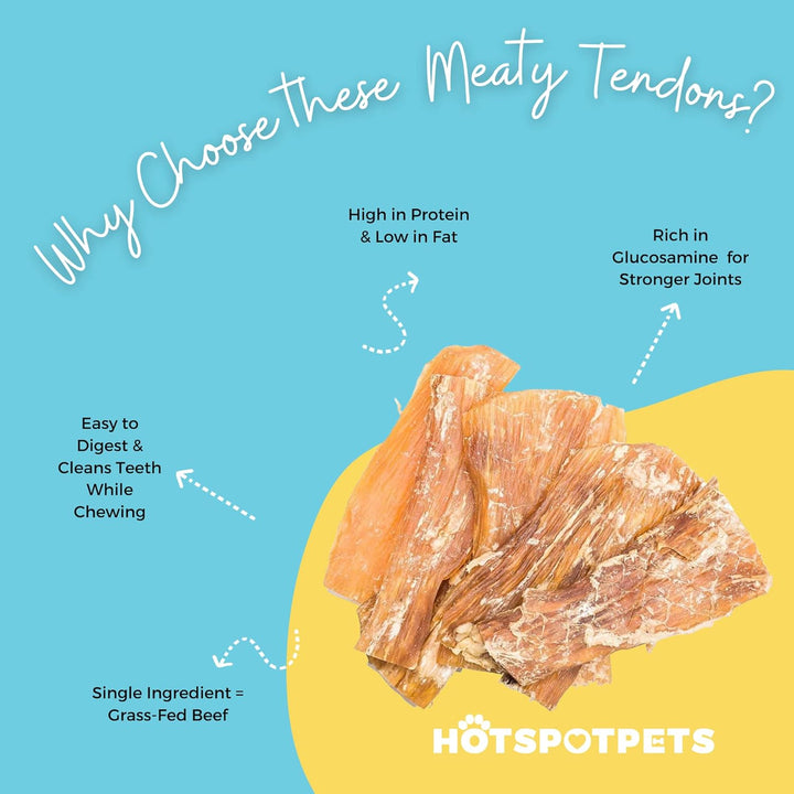 Beef Tendon Chews for Dogs - 6 Inch All Natural, Free-Range, Grass-Fed Premium Backstrap Tendon Dog Chews Treats