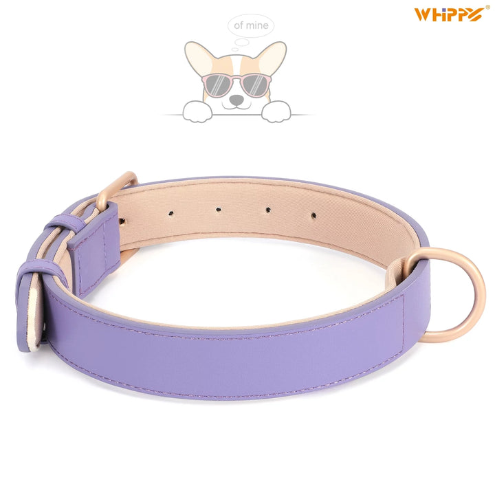 Leather Dog Collar, Soft Padded Dog Collar for Puppy Small Medium Large Dogs