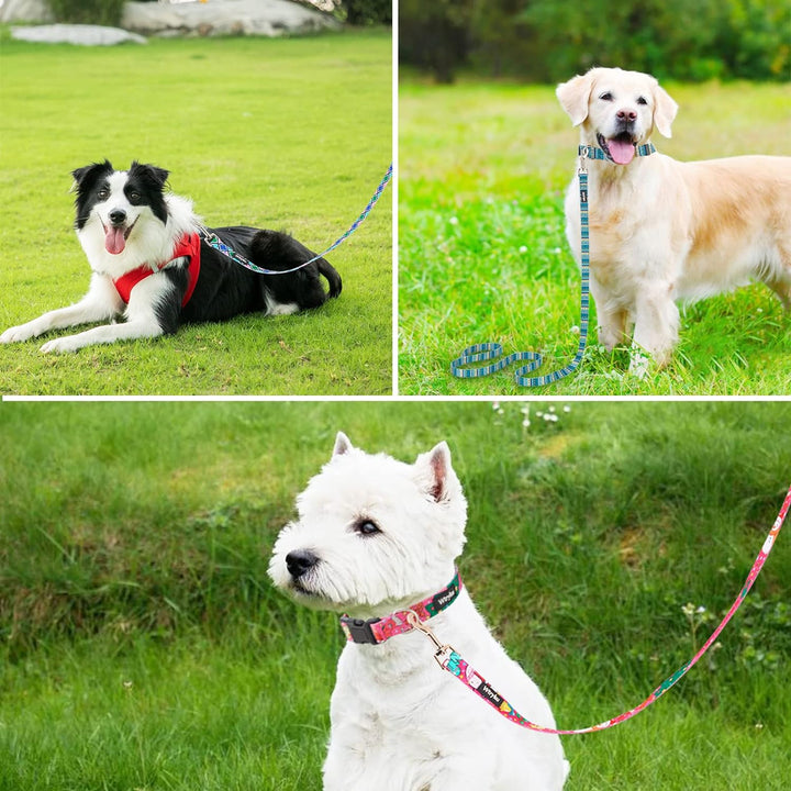 5FT Christmas Dog Leash, Sturdy Santa Pattern Girl Pet Leash for Holidays, Puppy Leash for Small, Medium and Large Dogs(Christmas Rose Red, 5FT X 3/4" Wide)