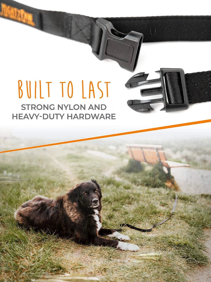 Long Dog Leash, Pet Leash, for off Leash Recall Training Quality Nylon Tie Out Includes a Buckled Padded Handle for Yard Camping and Training, Puppy Leash, 15Ft