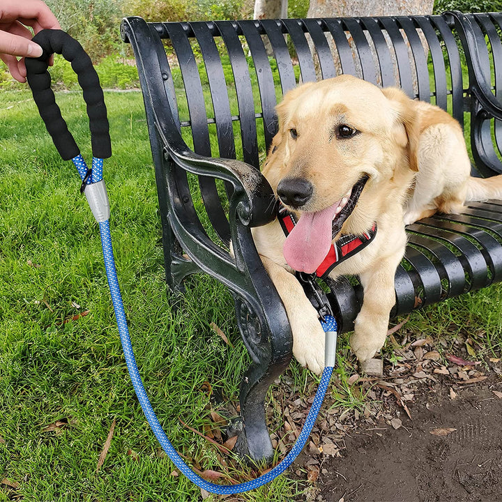 5FT Dog Leashes,High Reflective Heavy Duty Dog Leash，Nylon Dog Training Leash，Padded Handle Pet Leash，Walking Dog Rope Leash for Medium and Large Dogs