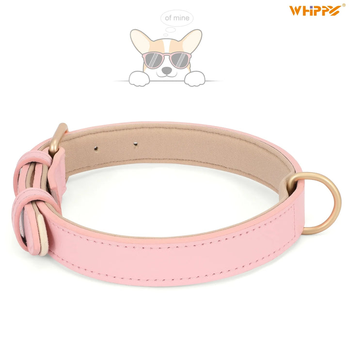 Leather Dog Collar, Soft Padded Dog Collar for Puppy Small Medium Large Dogs