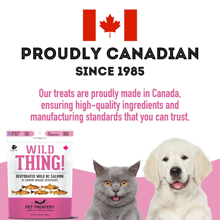 Wild Salmon Treats for Dogs & Cats (3 Oz, Pack of 1)