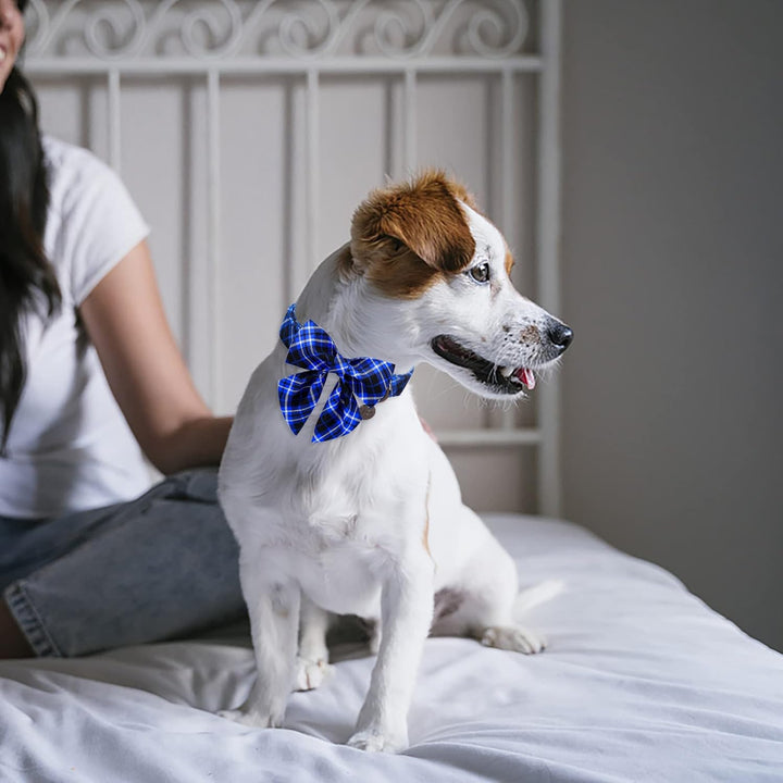 Dog Collar with Bow Tie, Cotton Bowtie for Medium Girl Boy, Blue with Durable Metal Buckle, Holiday Plaid, M