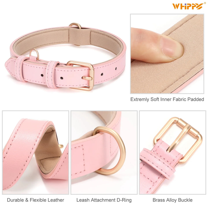 Leather Dog Collar, Soft Padded Dog Collar for Puppy Small Medium Large Dogs