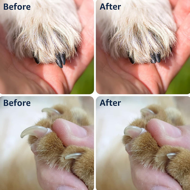 Dog Nail Grinder with 2 LED Light - Super Quiet Run for 15H Pet Nail Trimmer, 2-Speed Powerful Motor Pet Nail Grinder for Large Medium Small Dogs and Cats (Blue)