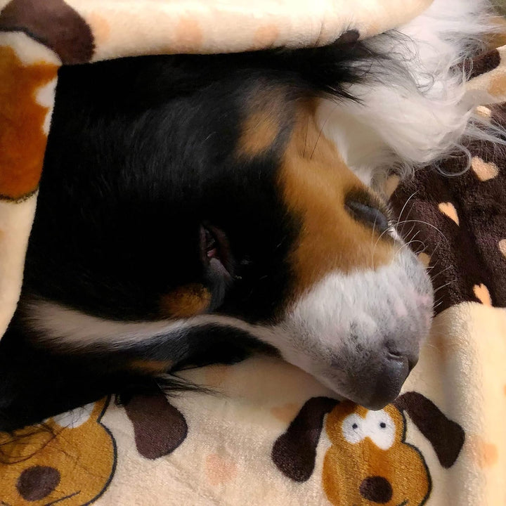 Snuggle Puppy Soft Dog Blanket for Small & Large Dogs | Plush Pet Throw for Couch, Bed & Crate | Long-Lasting, Machine Washable Fleece Puppy Blanket – Warm & Cozy for Cats & Dogs (Brown Pattern)
