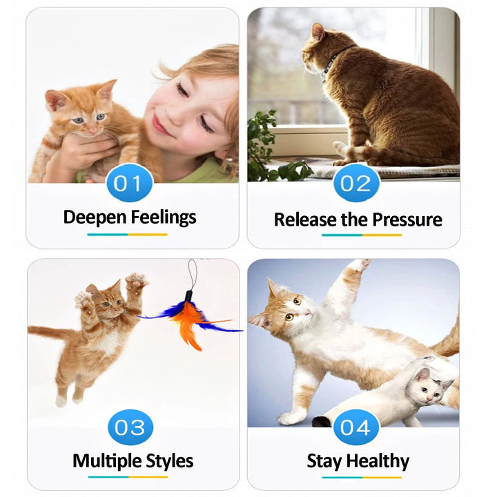 13 PCS Cat Feather Toy, Multiple Styles Feather Refills for Cat Toys, Replacement Feather Toy with Bell Refills, Interactive Catcher Teaser and Funny Exercise for Kitten or Cats