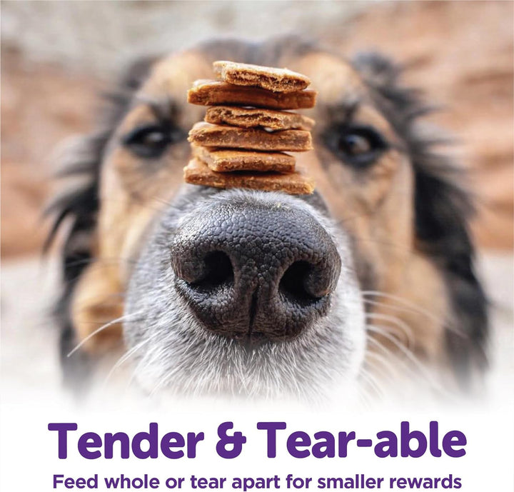 Rewarding Life Dog Treats, Natural, Training Treat, Grain Free, Soft Turkey & Duck (6 Ounce Bag)
