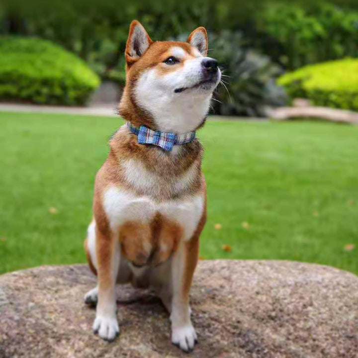 Dog Collar for X-Small Small Medium Large Dogs Classic Plaid Bow Tie Adjustable Buckle Cats Puppy Dogs Collars-L