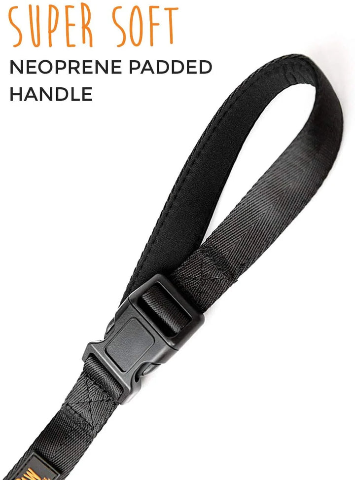 Long Dog Leash, Pet Leash, for off Leash Recall Training Quality Nylon Tie Out Includes a Buckled Padded Handle for Yard Camping and Training, Puppy Leash, 15Ft
