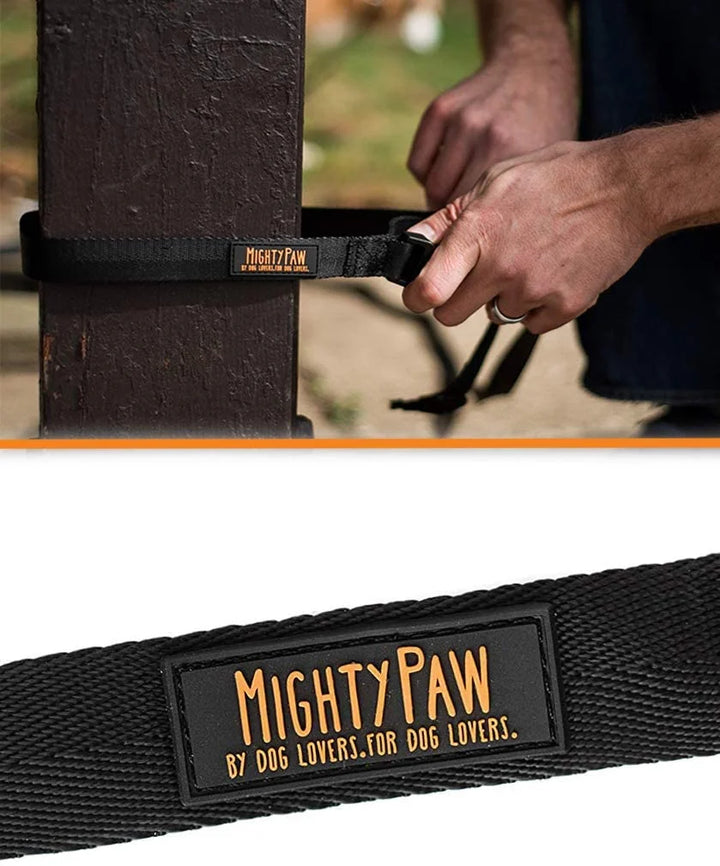 Long Dog Leash, Pet Leash, for off Leash Recall Training Quality Nylon Tie Out Includes a Buckled Padded Handle for Yard Camping and Training, Puppy Leash, 15Ft