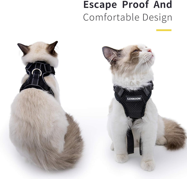 Cat Leash and Harness Set for Walking, Adjustable Breathable Kitten Harness and Leash with Safety Reflective Strap