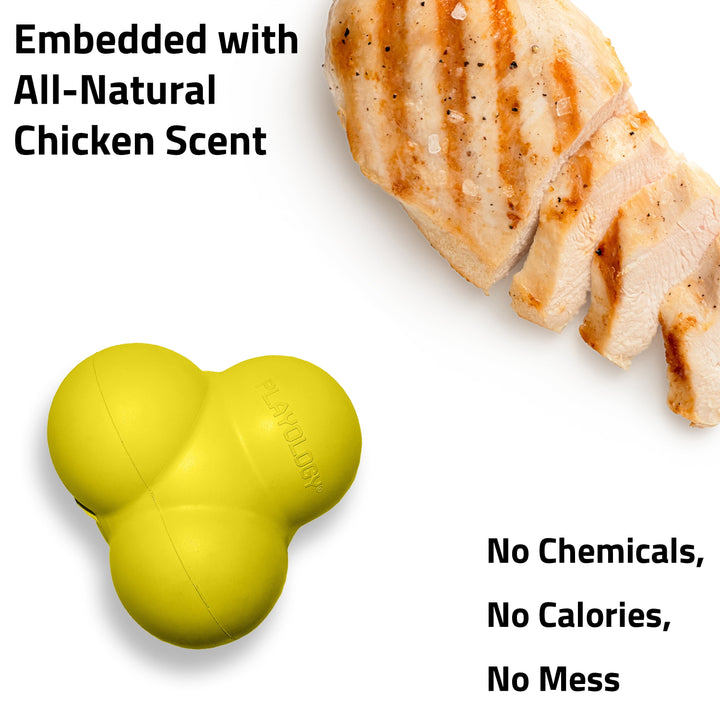 Squeaky Bounce Ball | Engaging All-Natural Chicken Scented Dog Toy | Jumbo Size for Dogs 50Lb and Up