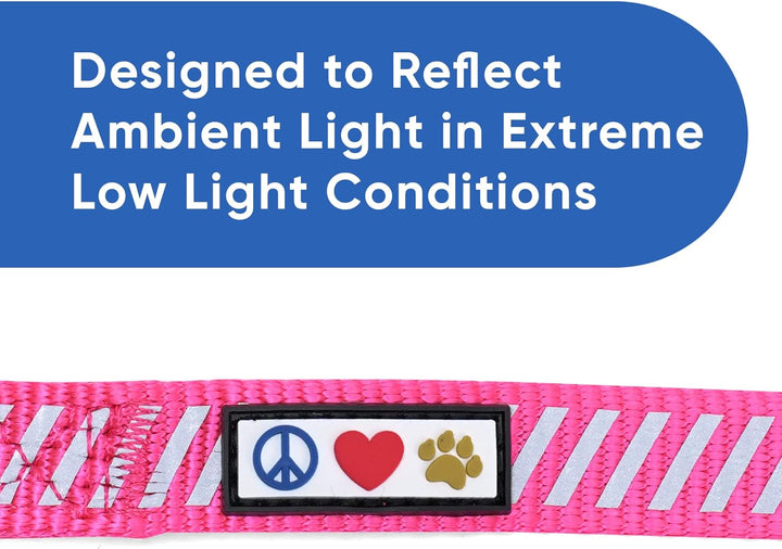 Pet Leash - Reflective Dog Leash | Comfortable Handle, Heavy Duty, Highly Visible Threads | 6 Foot Pink Dog Training Leash