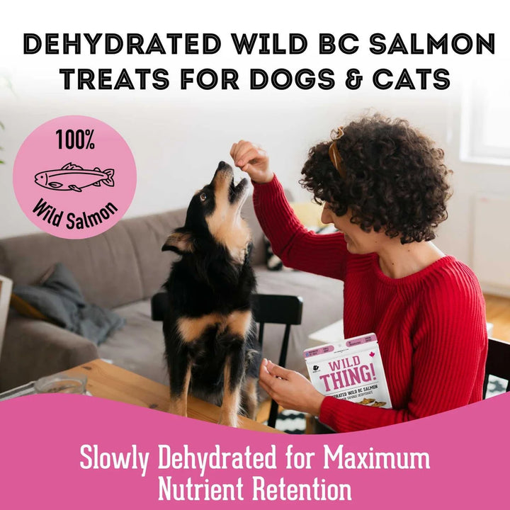 Wild Salmon Treats for Dogs & Cats (3 Oz, Pack of 1)