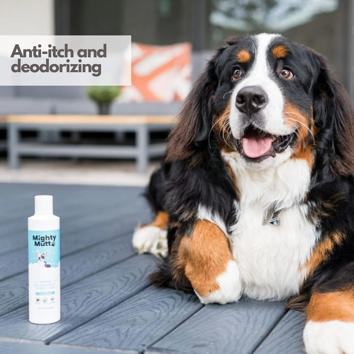 Natural Hypoallergenic Dog Shampoo & Conditioner - Soothing Anti-Itch Formula for Smelly Dogs - 9 Oz