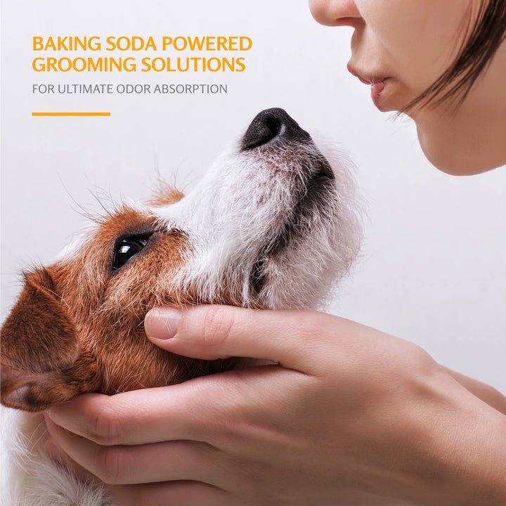 Revitalize Your Pup: 3-Pack Dog Deodorizing Shampoo with Baking Soda & Kiwi Blossom - 20 Oz Each