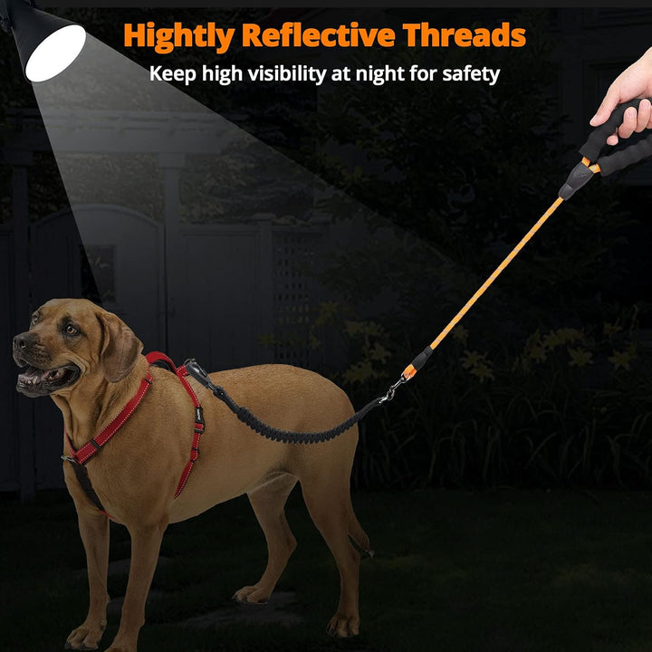 Long Dog Leash 30 FT: Heavy Duty Rope Leashes for Dogs Training with Swivel Lockable Hook Reflective Threads Bungee and Padded Handle - Dog Lead for Large Small Medium Dogs outside Walking Hiking