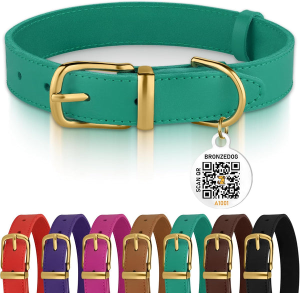 Leather Dog Collar with Metal Buckle Durable Basic Pet Collars for Small Medium Large Dogs (13-16 Inch (Pack of 1), Green & Gold Buckle)